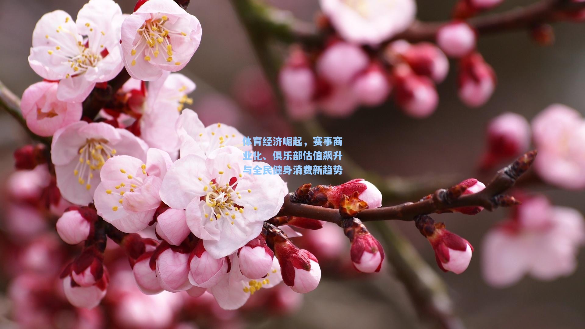 体育经济崛起，赛事商业化、俱乐部估值飙升与全民健身消费新趋势